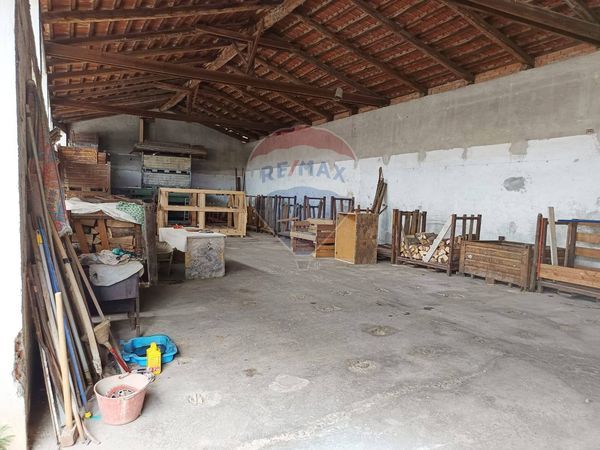 Capannone Industriale Casevecchie, Piscina, TO Vendita - Foto 4