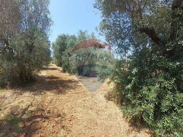 Rustico Galatina, LE Vendita - Foto 3