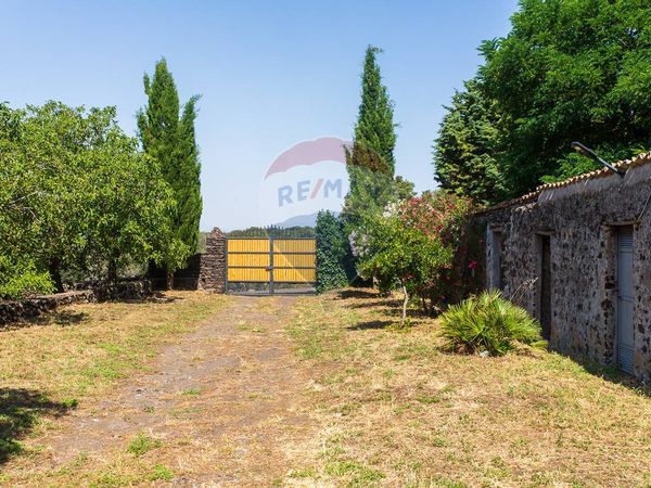 Cascina/Casale Adrano, CT Vendita - Foto 2