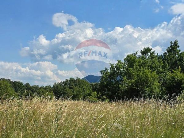 Terreno Edificabile Roccaraso, AQ Vendita - Foto 4
