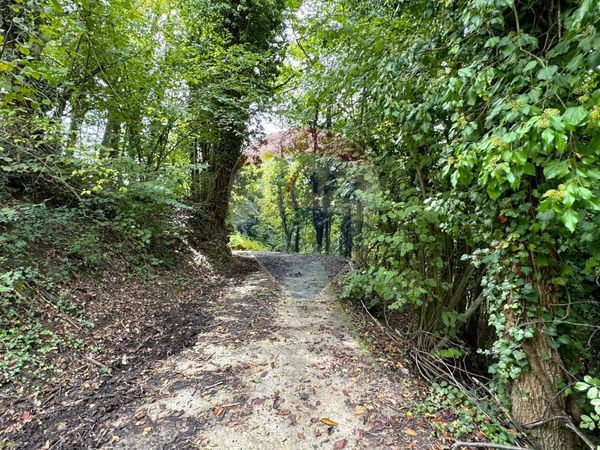 Casa Indipendente Prunetto, CN Vendita - Foto 4