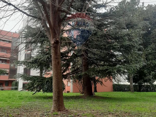 Appartamento Cerchiate, Pero, MI Vendita - Foto 4