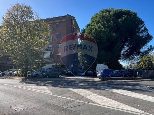 Appartamento Albano Laziale, RM Affitto - Foto 3