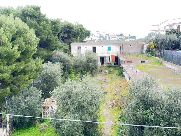 Appartamento Periferia, Vieste, FG Vendita - Foto 3