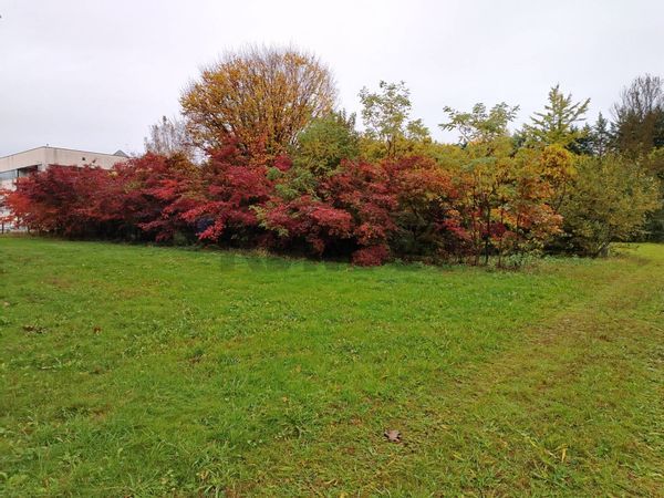Terreno Edificabile Cassano Magnago, VA Vendita - Foto 3