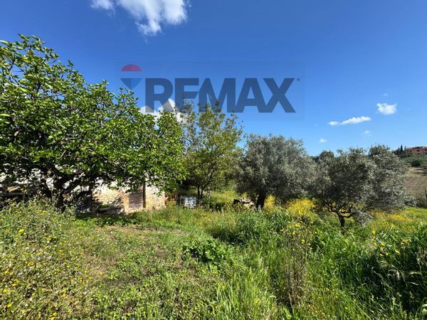 Rustico Mozzagrogna, CH Vendita - Foto 3