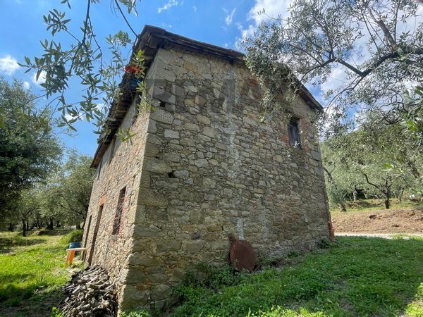 Rustico Collodi, Pescia, PT Vendita - Foto 3