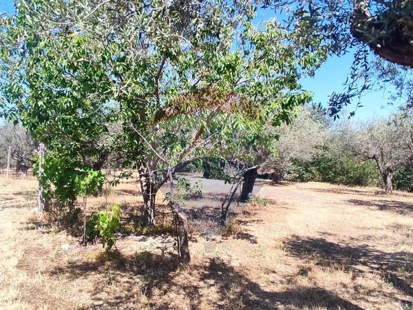 Casa Indipendente Rapattoni vecchio (Ventignano), Cepagatti, PE Vendita - Foto 4