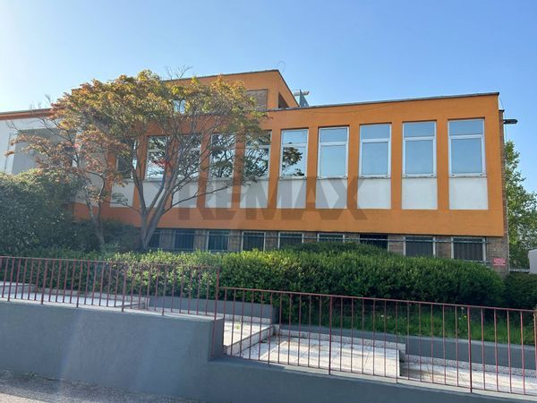 Stabile/Palazzo Villafranca Padovana, PD Vendita