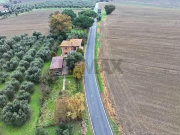 Casa Indipendente Sanfatucchio, Castiglione del Lago, PG Vendita - Foto 3