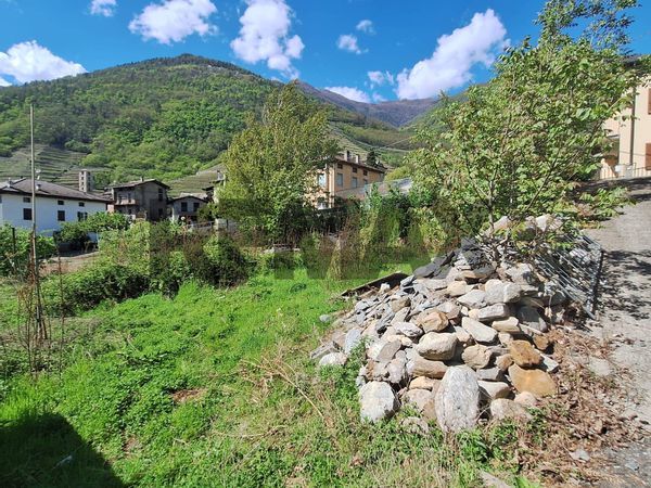 Terreno Edificabile Bianzone, SO Vendita - Foto 2