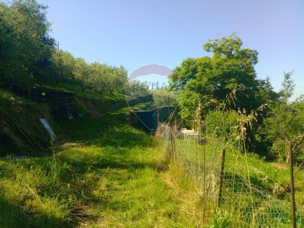 Terreno Marginone, Altopascio, LU Vendita - Foto 2