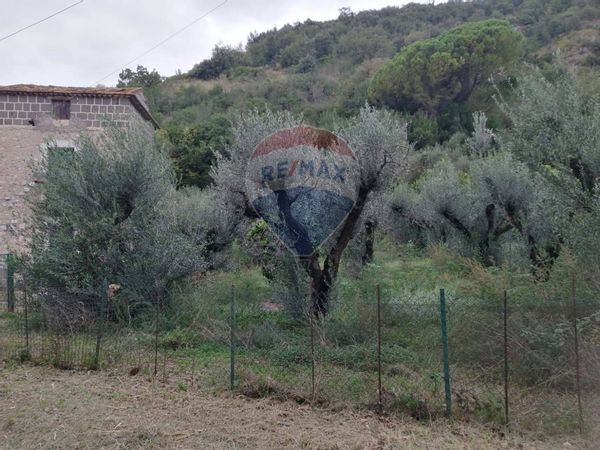 Casa Indipendente Suio, Castelforte, LT Vendita - Foto 4
