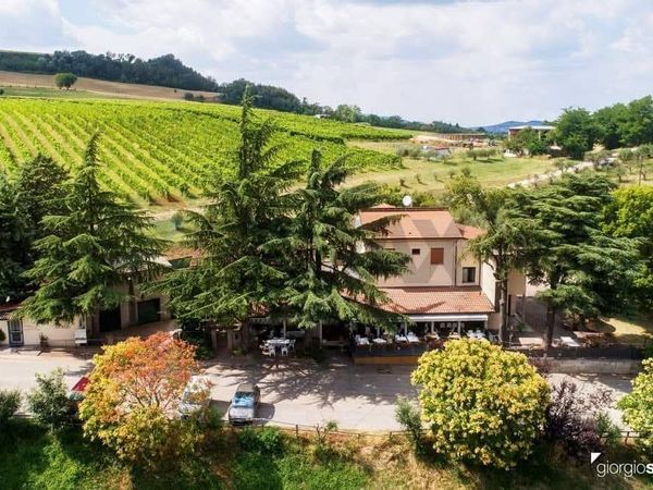 Agriturismo Montemaggiore, Predappio, FC Vendita