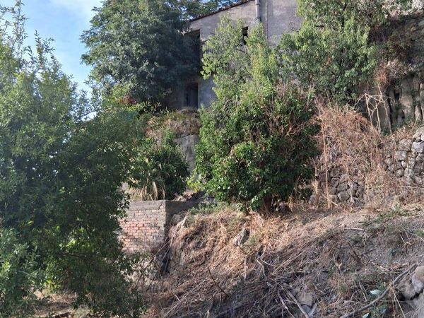 Rustico Castiglione di Sicilia, CT Vendita - Foto 2