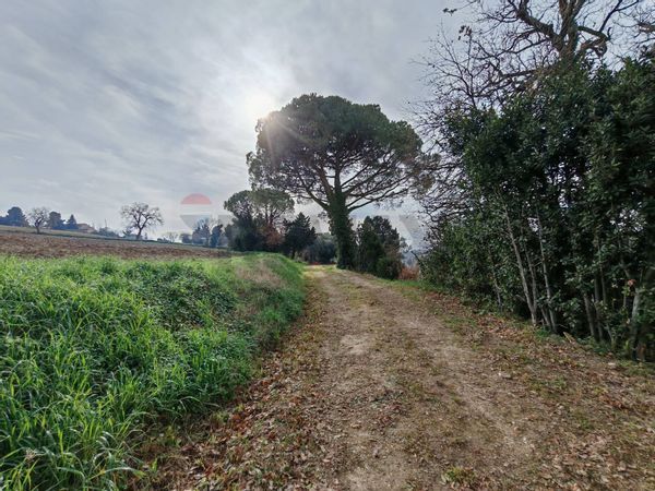 Cascina/Casale Recanati, MC Vendita - Foto 3