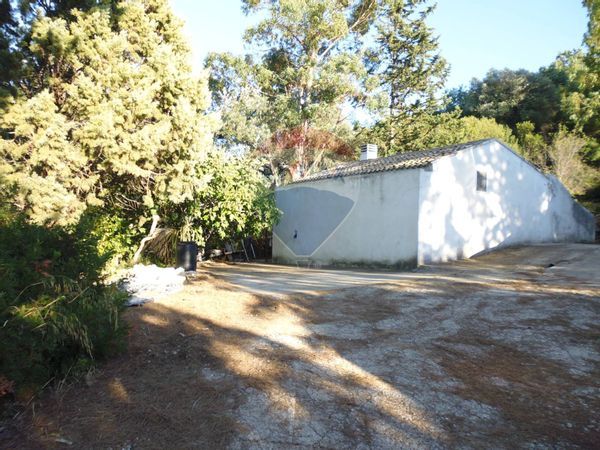 Casa Indipendente Pisticci, MT Vendita - Foto 3