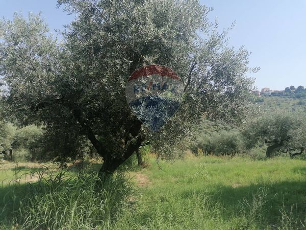 Terreno Edificabile Valleiuta, Moscufo, PE Vendita - Foto 4