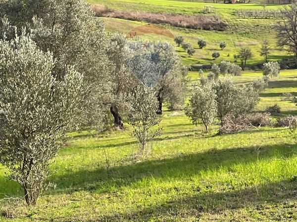 Terreno Marinello, Cervicati, CS Vendita - Foto 2