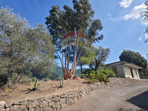 Villa o villino Perinaldo, IM Vendita