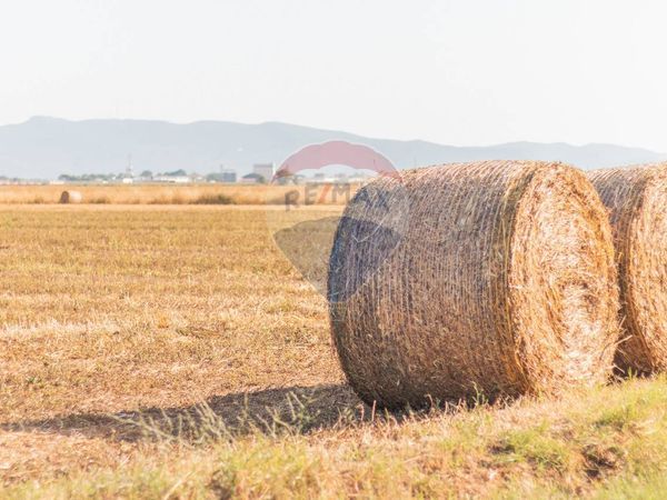 Terreno San Donato, Orbetello, GR Vendita