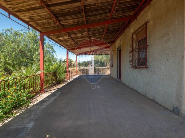 Villa singola Grammichele, CT Vendita - Foto 3