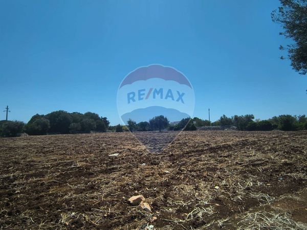 Rustico Polignano a Mare, BA Vendita - Foto 3