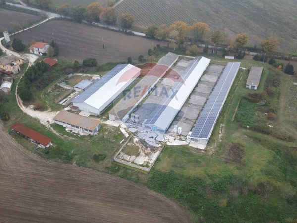 Capannone Industriale Arcevia, AN Vendita - Foto 2