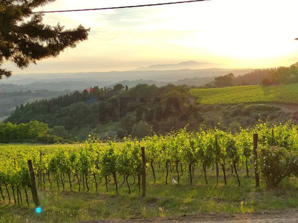 Villa singola Montespertoli, FI Vendita - Foto 3