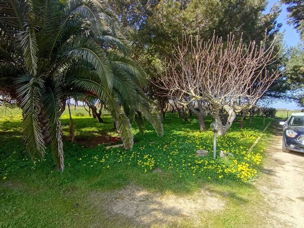 Villa singola Zona Mitrano, Brindisi, BR Vendita - Foto 4