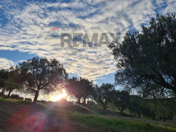 Terreno Alba Adriatica, TE Vendita
