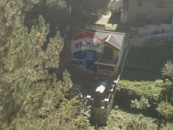 Villa o villino Spezzano della Sila, CS Vendita