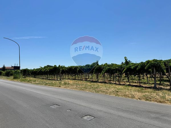 Terreno Edificabile Santa Maria Imbaro, CH Vendita - Foto 4