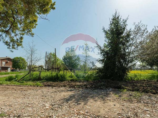 Rustico Prato, Correggio, RE Vendita - Foto 4