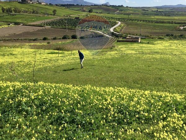 Terreno Edificabile Menfi, AG Vendita - Foto 4