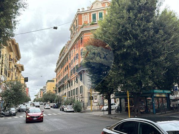 Negozio Trieste, Roma, RM Affitto