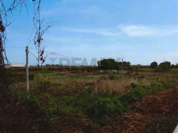 Terreno Industriale Martinsicuro, TE Vendita - Foto 2