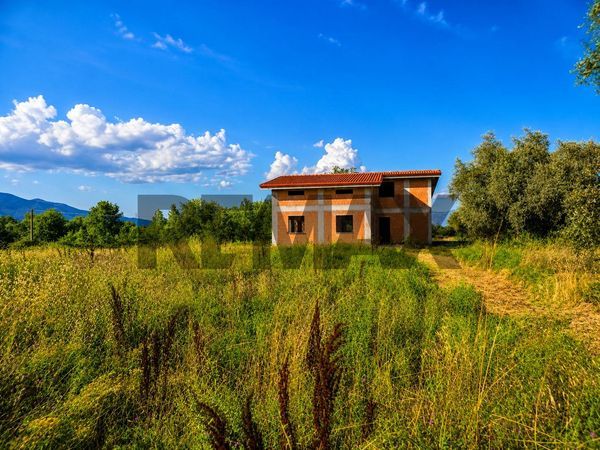 Rustico Sarcioni, Marzano Appio, CE Vendita - Foto 2