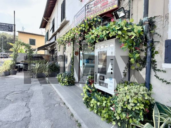 Attività  Commerciale San Romano, Montopoli in Val d'Arno, PI Vendita - Foto 3
