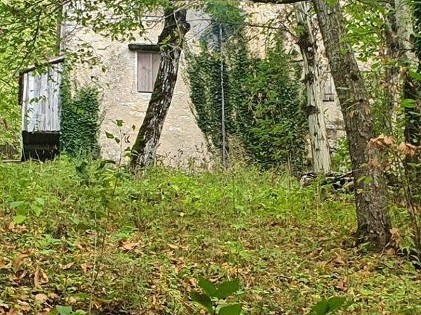 Rustico Brenzone sul Garda, VR Vendita - Foto 4