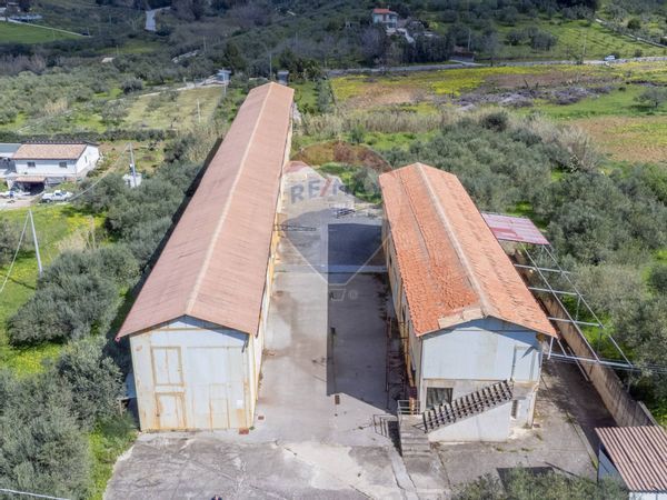 Capannone Industriale Borgetto, PA Vendita - Foto 4