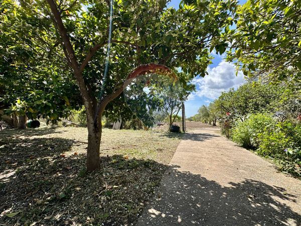 Villa o villino Chiaramonte Gulfi, RG Vendita - Foto 4