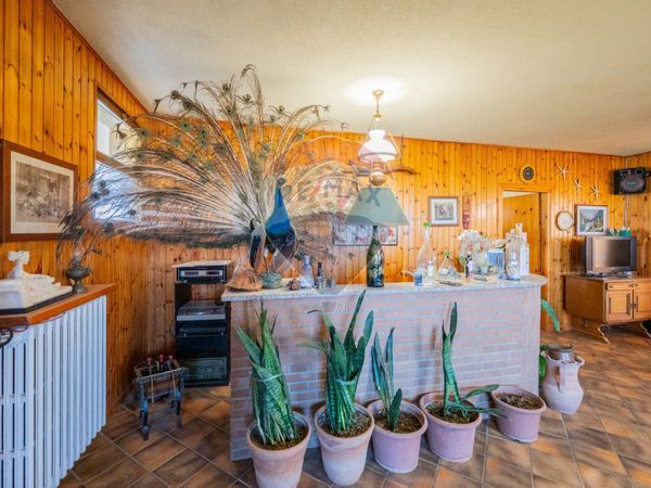 Villa o villino Poviglio, RE Vendita - Foto 4