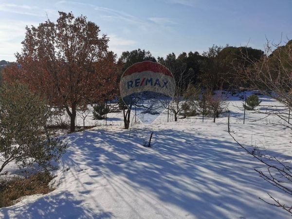 Cascina/Casale Nicolosi, CT Vendita - Foto 2