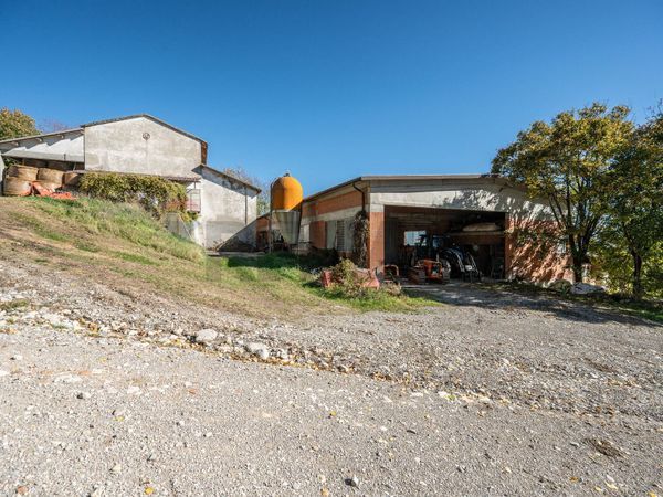 Azienda Agricola Mozzano, Neviano degli Arduini, PR Vendita - Foto 2
