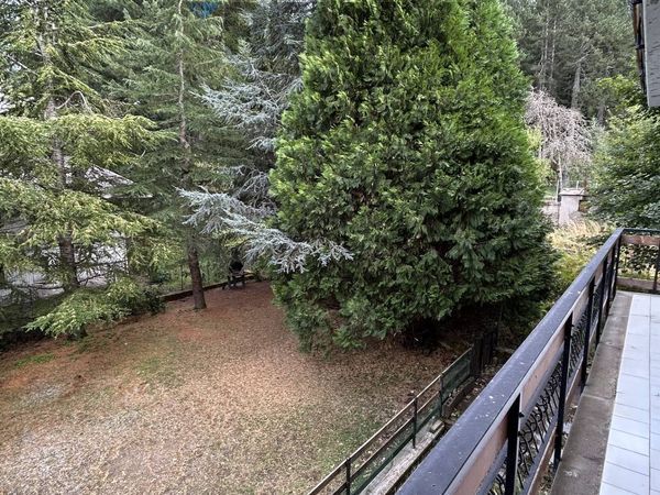 Appartamento Spezzano della Sila, CS Vendita - Foto 2