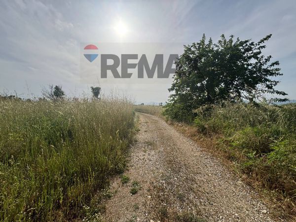 Terreno Industriale Corigliano-Rossano, CS Vendita - Foto 3