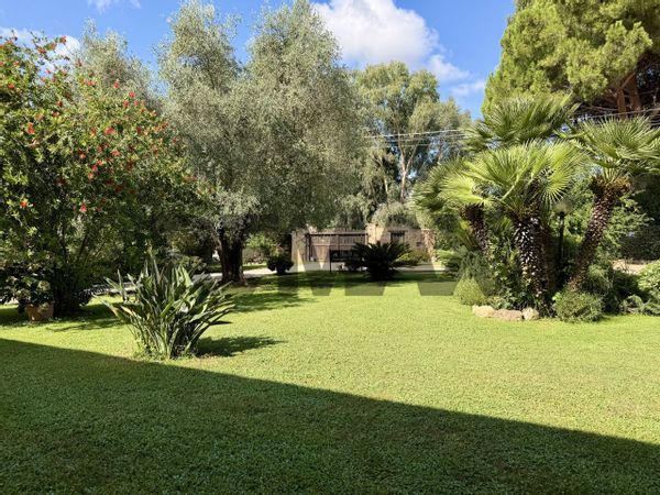 Villa singola Santa Maria la Palma, Alghero, SS Vendita - Foto 2