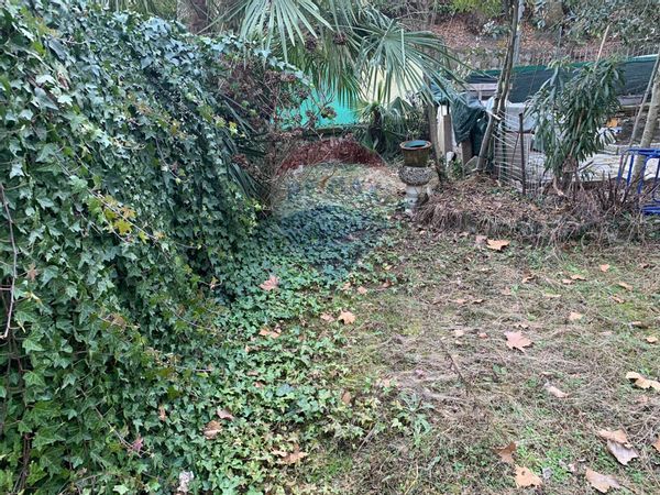 Appartamento S. Ambrogio, Varese, VA Affitto - Foto 4