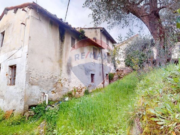 Rustico Stiava, Massarosa, LU Vendita - Foto 2